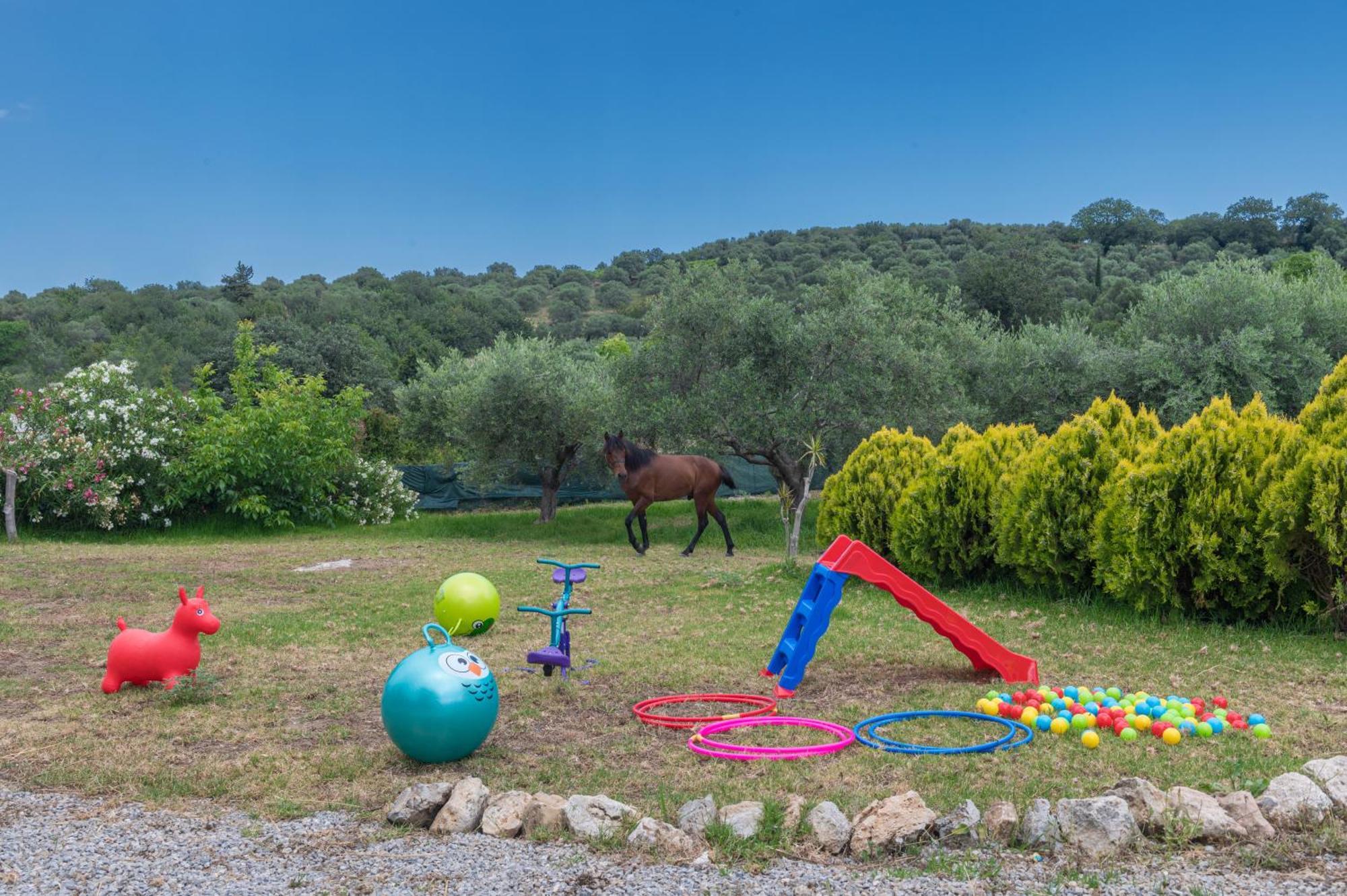 Elarchon Villa Private Pool Episkopi-Chania Eksteriør billede